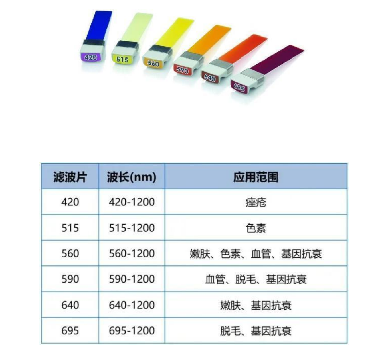 BBL PLUS贵族光